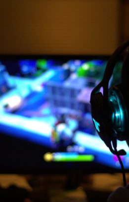 video game streamer